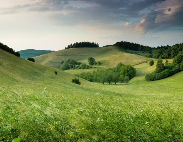 Offerings1 services 02